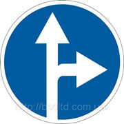 Предписывающие знаки — 4.4 Движение прямо или напрямо, дорожные знаки фото