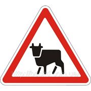 Предупреждающие знаки — Перегон скота1.35, дорожные знаки фото