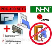 Доводчик, петли, фиттинги для маятниковых стеклянных дверей NHN-PDC100 (Япония) фото