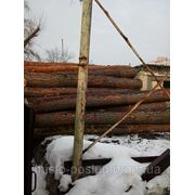 Дрова купить Киев дубовые березовые сосновые колотые кругляк фото