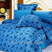 Постельное белье le vele шелк-сатин - bremen blue двуспальный евро фотография