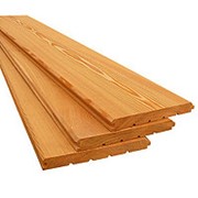 Вагонка липокая фото