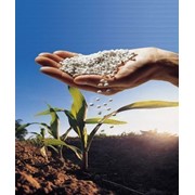 Химические удобрения - торговые поставки фото