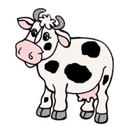 Фебольвет фото