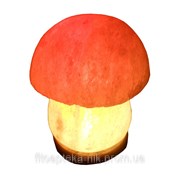 Солевая лампа Грибок 3-4 кг фотография