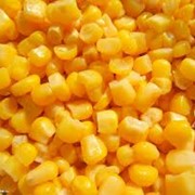 Кукуруза товарная фотография