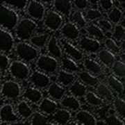 Галантерейная Рептилия, черная/цветная фото