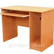 Стол для кабинета информатики ШР-33, арт. 003-02230