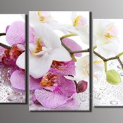Модульная картина на холсте “Орхидеи на стекле“ для интерьера фото