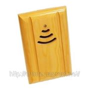 Дверной электрозвонок Прометей «C» фото