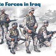 Модель Us Elite Forces In Iraq фотография
