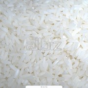 Рис в Казахстане фотография