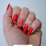 Покрытие ногтей Shellac фотография