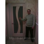 Двери межкомнатные шпонированые пр-ва Украины фабрика терминус Модель “Сицилия“ бел. дуб со стеклом. размер 600,700,800,900*2000 фото