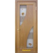 Деревянные двери межкомнатные “Калипсо“ фотография