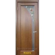 Деревянные двери межкомнатные “Флейта“ с рисунком Донецк фото
