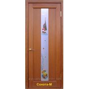 Деревянные двери из сосны “Сосна-М“ фото