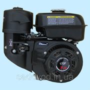 Двигатель бензиновый WEIMA WM170F для WM1050 (7.0 л.с.) фото