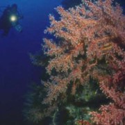 Подводные поисковые экспедиции фото