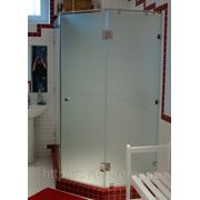 Стеклянная дверь в душ с перегородкой арт.0005 фото