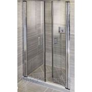 ESD2-110 (Transp) bahama Душевая дверь фото
