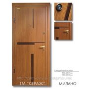 Дверь входная модель "МИЛАНО" тм "Страж" серии "Стандарт" , Размер 2040х850; 2040х950