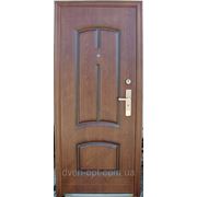 Дверь входная металлическая СЛ-079-В