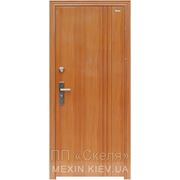 Установка, доставка, тамбурная дверь Mexin 1D 2042 FA классика купить