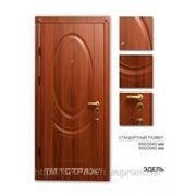Двери входные металлические модель “Эдель“ фото