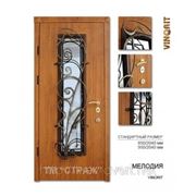 Двери входные металлические (улица) модель “Мелодия“ ручная работа фото