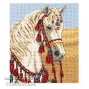 Arabian Horse фото