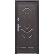 Дверь входная металлическая М-002 фото