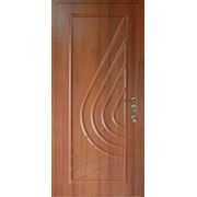 Входные бронированные двери Троя, Фортуна фото