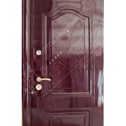 Утепленные двери Абвер(3-52) фото