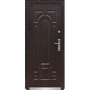 Дверь входная металлическая стандарт Q5ТР-С 17 Запорожье фото