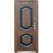 Дверь входная металлическая бархатный лак ТР-С 61(2300) Запорожье фотография