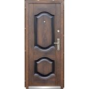 Дверь входная металлическая бархатный лак ТР-С 61 Запорожье фотография