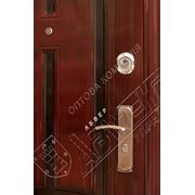 Двери стандарт Абвер Viola(32-2) фото
