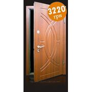 Бронированная дверь “Престиж“. Лучшие цены от производителя входных металлических дверей компании Dik Doors фото