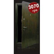 Бронированная дверь “Греция“ от производителя Dik Doors. Лучшая цена и качество. фото