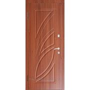 Входные бронированные двери серия Элит, Пальмира фото