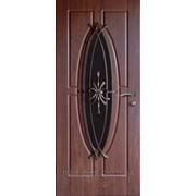 Двери входные бронированные, серия Котедж фото