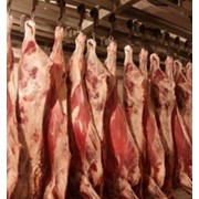 Мясо говяжье охлажденное фотография