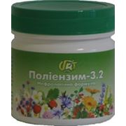 Полиэнзим-3.2 — 140 г — нефрологическая формула - Грин-Виза, Украина фотография