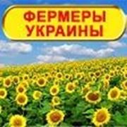 Фермерские хозяйства Украины база фотография