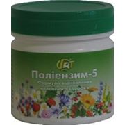 Полиэнзим-5 — 140 г — формула восстановления мужского здоровья - Грин-Виза, Украина