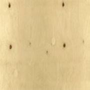Фанера ФК 12мм. фото