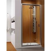 Душевая дверь Radaway Dolphi Premium Plus DWJ 100 (коричневое стекло) фото