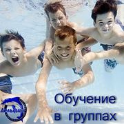 Обучение плаванию детей в группах, абонемент в секцию плавания