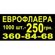 Еврофлаера 1000 шт. — 250 грн.